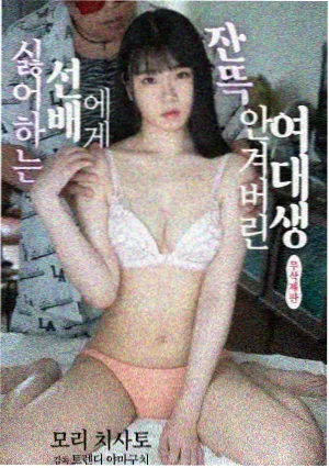 深夜档短篇精选封面